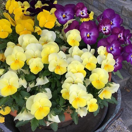 B&B Les Fleurs Gignod Exterior photo