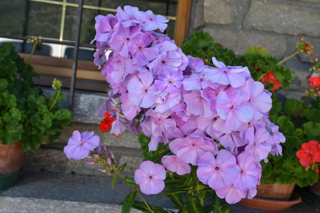 B&B Les Fleurs Gignod Exterior photo